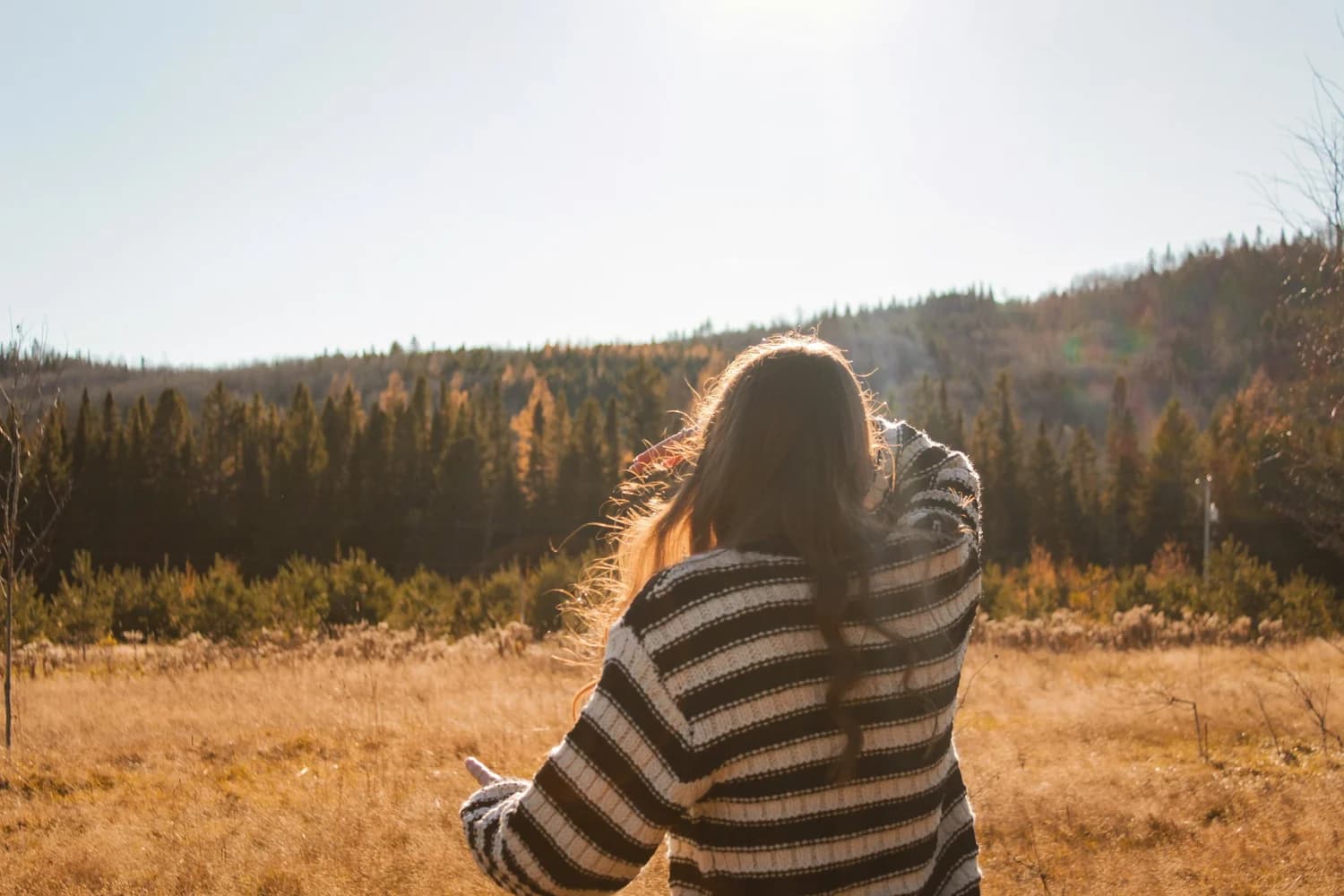 A person standing in a golden field looking toward the forest